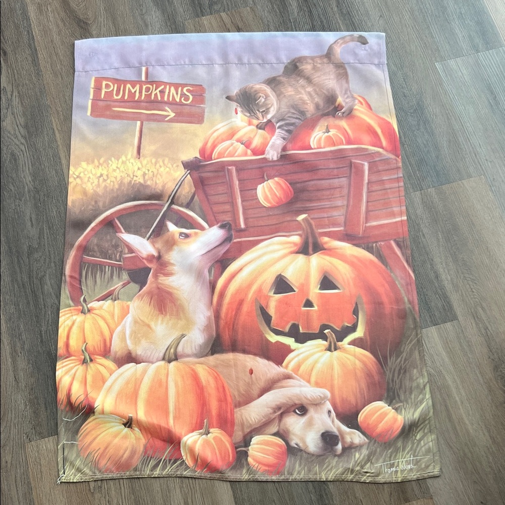 Thomas Wood Pumpkin Patch Fall and Halloween Dog and Cat Flag